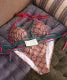 Swimsuit for Woman (Super Sale!)