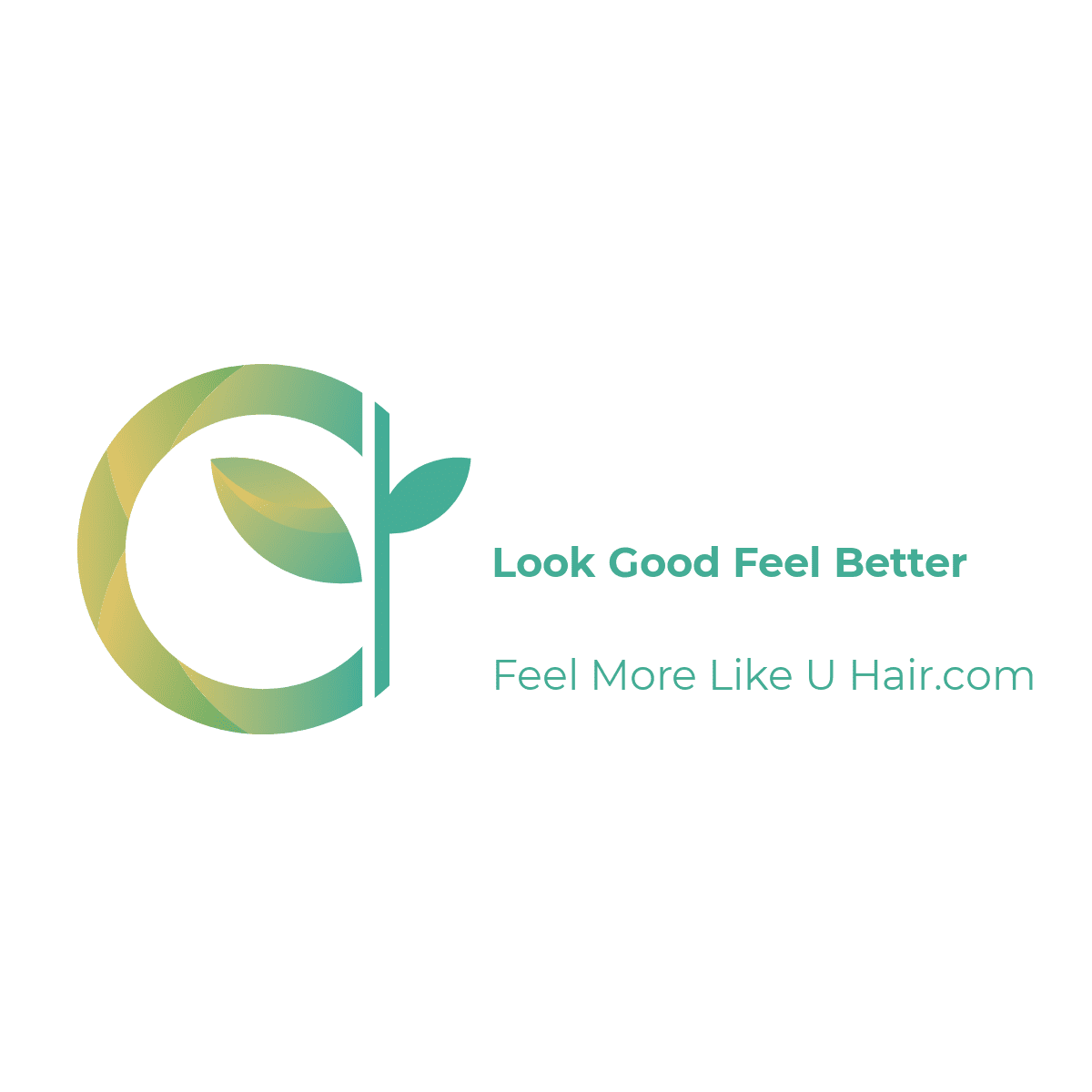 Lace Front Wig