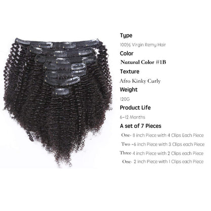 HAIR Ombre Human Hair Extensions 3C 4A Clip in Double Weft Real Remy Human Hair for African American, Natural Black Fading into Light Auburn Beauty Salon Application Near Me - Book Appointment 1.678.663.5298