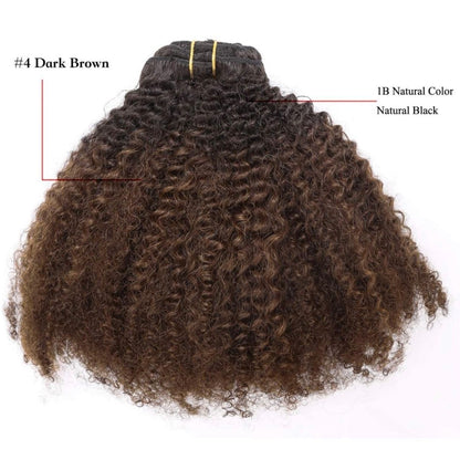 Coarse Yaki Curly Clip in Hair Extensions Natural Human Hair 3C 4A Afro (Ombre #1B/4)