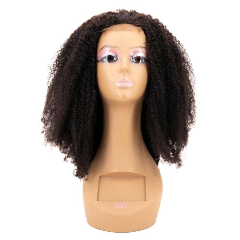 Afro Kinky Curly 4x4 Lace Closure Wig Human Hair Pre Plucked with Baby Hair 4c Curly Coily