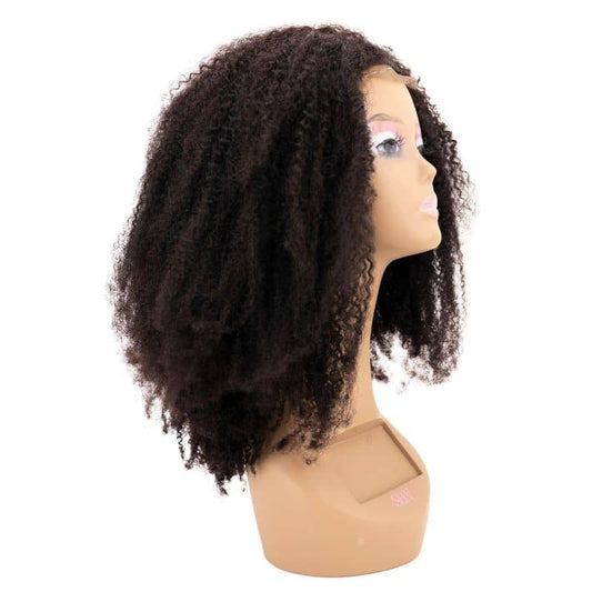 Afro Kinky Curly 4x4 Lace Closure Wig Human Hair Pre Plucked with Baby Hair 4c Curly Coily