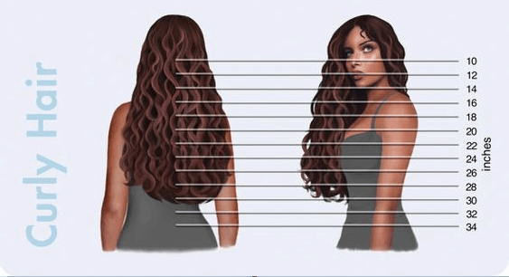 Hair Length Chart for Hair Extensions