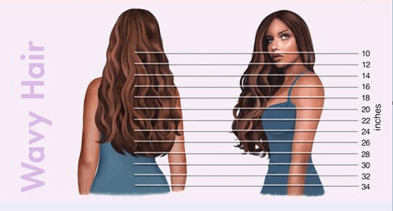 Hair Length Chart for Hair Extensions